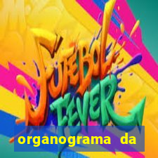 organograma da cacau show